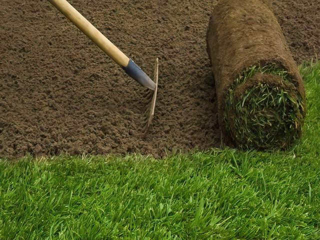 lawn-turfing-5-kireth-ai